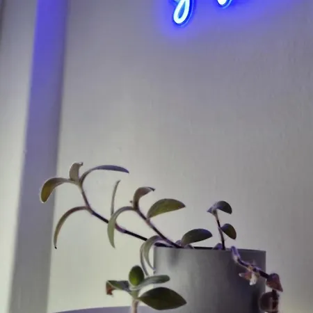 Seaside Luxury By Sarigianni *