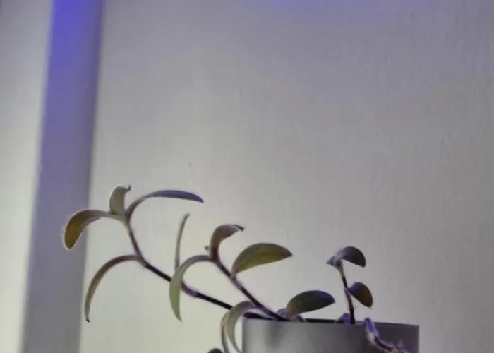 Seaside Luxury By Sarigianni *